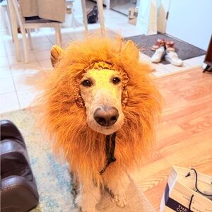 Orange Lion Mane Dog Costume - Plush Pet Headpiece